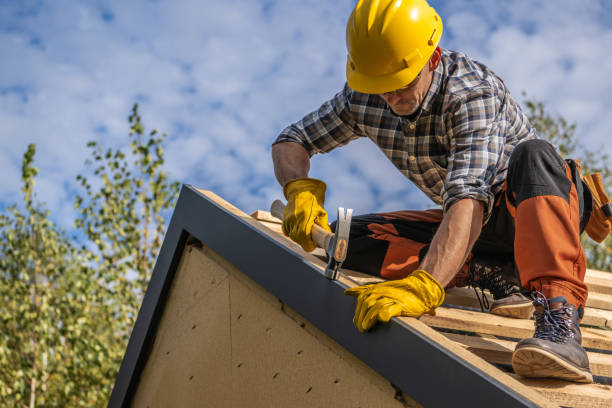 Steel Roofing in Oran, MO